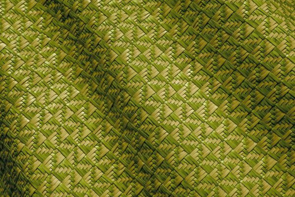 Mesh 805 Verde