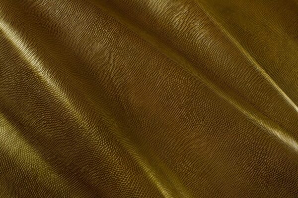 Argus Gold