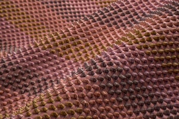 Mesh Punk Base Pesca