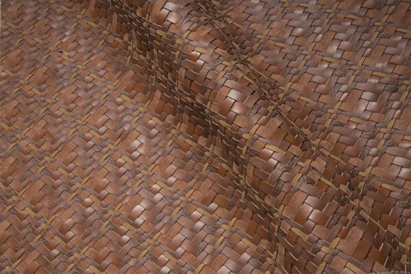 Mesh Dav 02/24 Ground