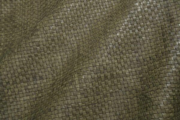 Normal Mesh Olive