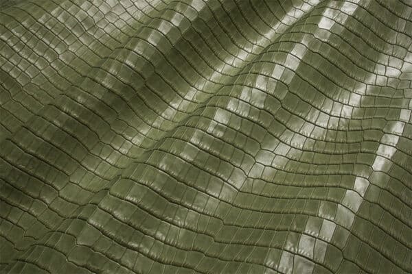 Cocco Nilo Normandia