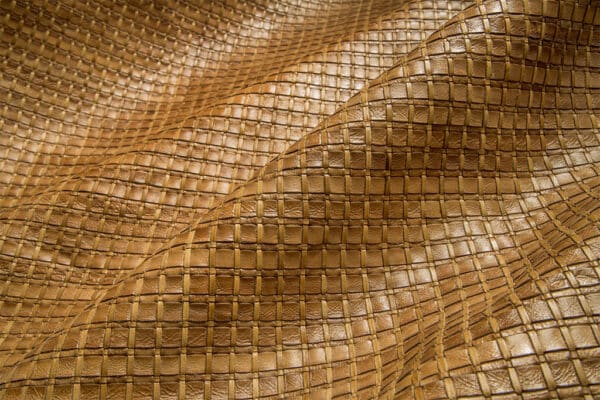 Mesh Presence Ground